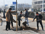 市城投集團公司積極組織參加全市義務(wù)植樹活動